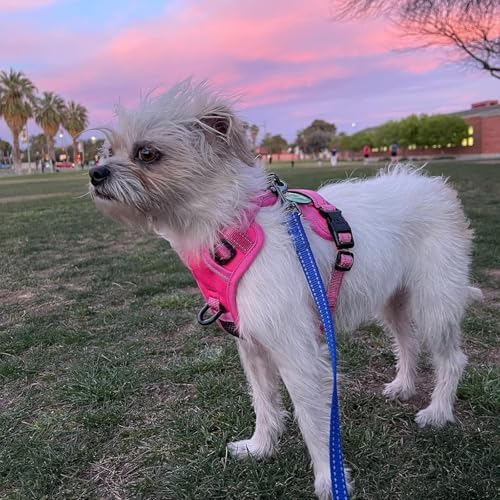 PoyPet No Pull Dog Harness, Reflective Vest - Image 6