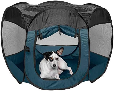 Furhaven Pop Up Playpen Pet Tent Playground by FurHaven