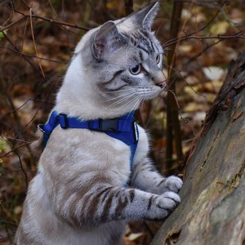 Voyager Step-in Lock Cat Harness & Leash Set - Image 6