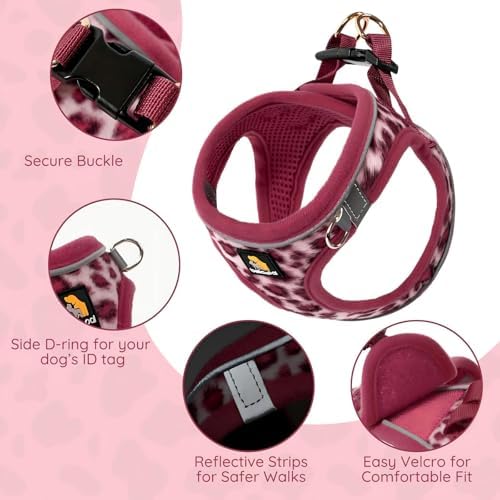BELLA & PAL Step in Puppy Harness and Leash Set - Image 2