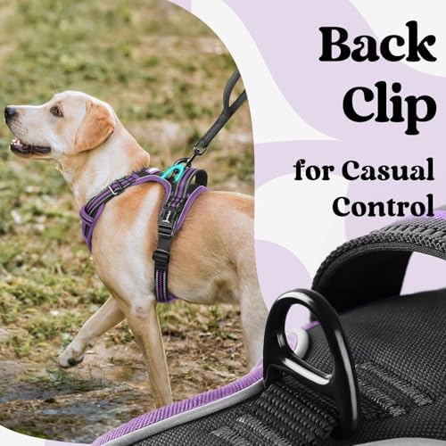 rabbitgoo Dog Harness for Large, Updated Easy On & Off - Image 5