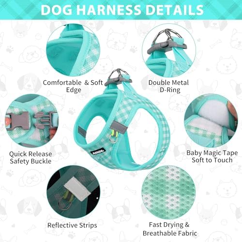 AIITLE Step in Medium Dog Harness and Leash Set, Pet Vest, Turquoise L - Image 3