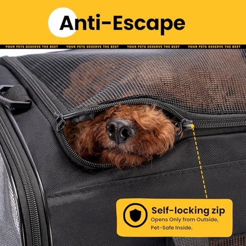 Conlun Dog Carrier Bag, Soft-Sided Pet Carriers - Image 6