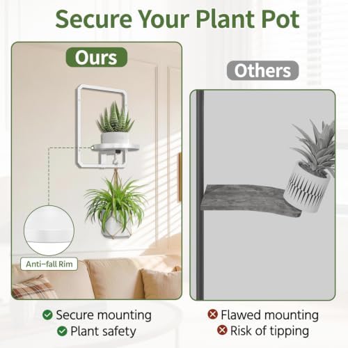 LASZOLA Plant Picture Frame Holder Shelf Wall Window Indoor - Image 5