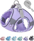 Petank Step in Dog Harness No Pull and Leash by PetankCareforEveryPaw