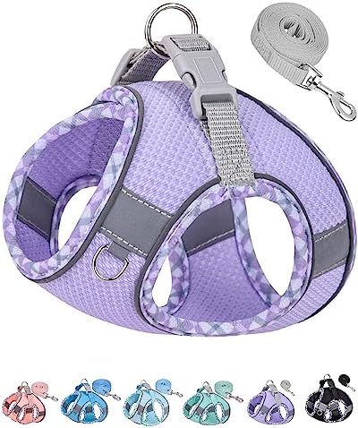 Petank Dog Harness for Small Medium Dogs No Pull, Puppy Harness and Leash Set by PetankCareforEveryPaw