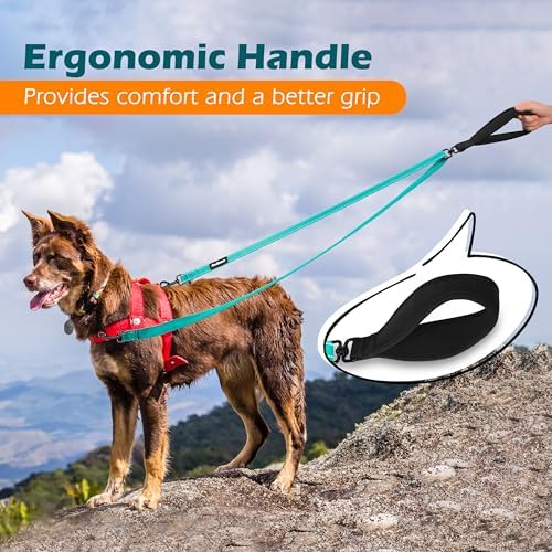 PetBonus Two Point Control Dog Leash, No Tangle Training Walking Leashes - Image 5