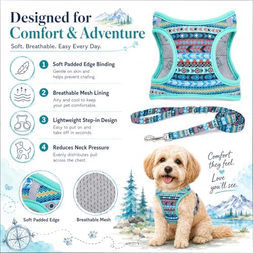 Step in Air Dog Harness Leash Set- All Weather Reflective No-Pull Padded Mesh - Image 2