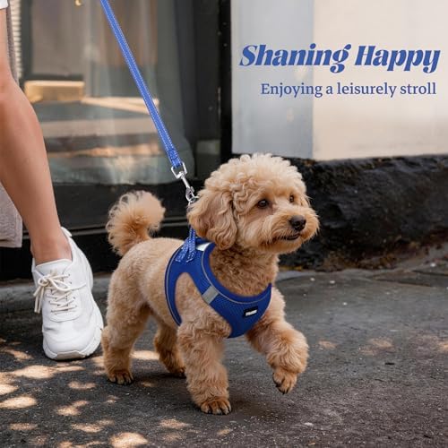 No Pull Dog Puppy Harness and Leash Set Reflective Mesh Vest Large - Image 6
