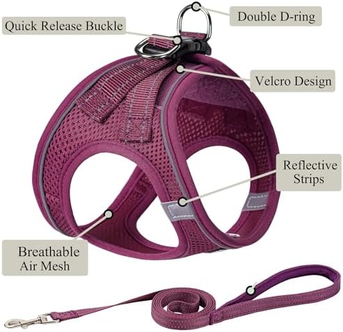 Dog Harness with Leash Set, Step-in Adjustable Puppy Pet Vest, Cranberry XL - Image 2