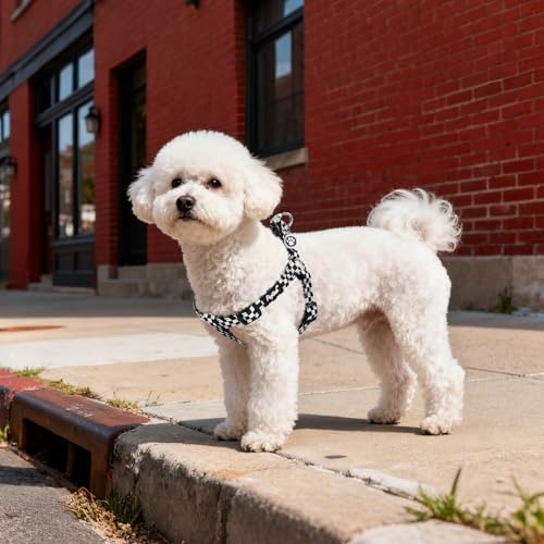 PUPTECK No Pull Dog Harness Small Sized Step-in Adjustable Puppy Vest - Image 5