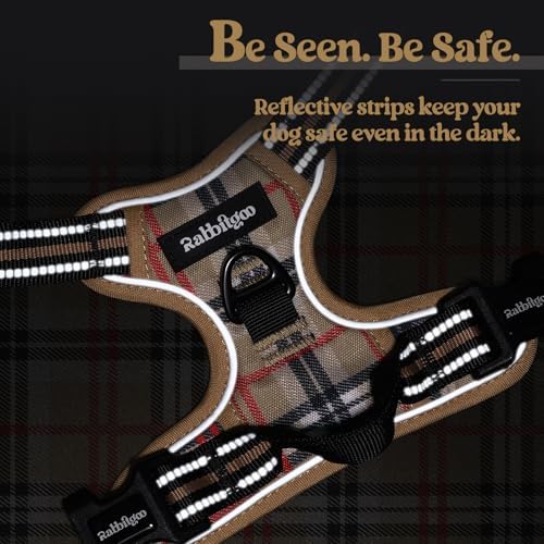 rabbitgoo Dog Harness, No Pull for Small Dogs - Image 7