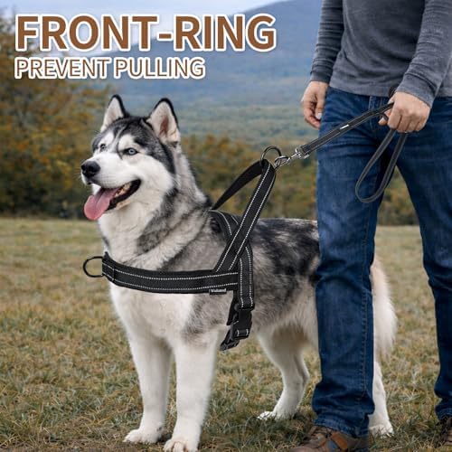 No Pull Dog Harness & 5FT Leash Set - Image 5