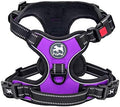 PoyPet No Pull Dog Harness Small by PoyPet
