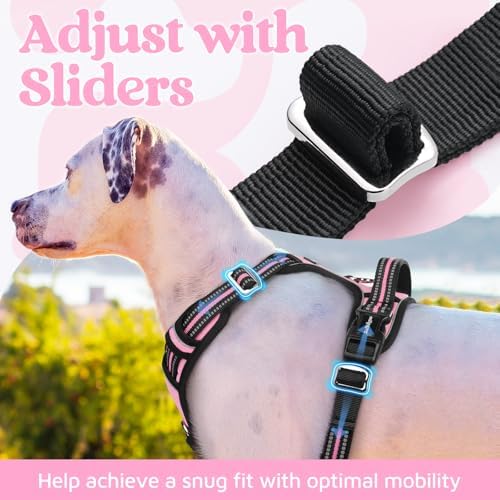 rabbitgoo Dog Harness Small Sized, No Pull 3 Buckles Easy On & Off - Image 5