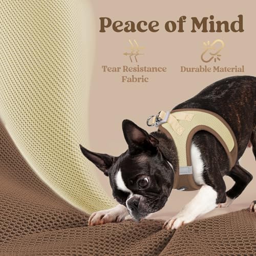 rabbitgoo Step-in Small Dog Harness, Puppy Vest - Image 6