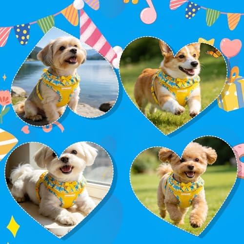 EXPAWLORER Step-in Dog Harness Small Sized and Leash Set - Image 6