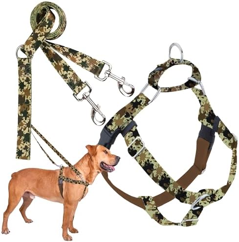 2 Hounds Design by 2HoundsDesign