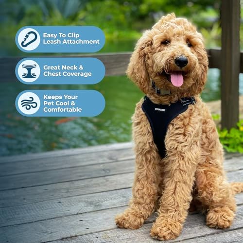 Voyager Step-in Flex Adjustable Dog Harness - Image 5