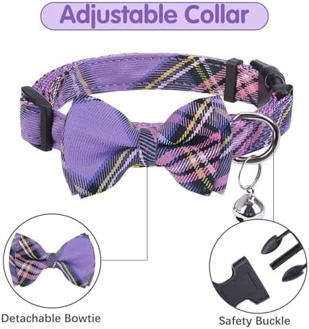 BINGPET No Pull Dog Harness Leash Collar Set, Adjustable Step-in Vest - Image 4