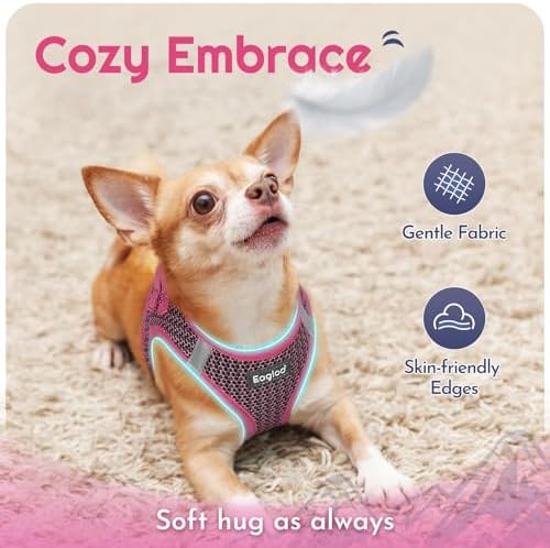 Eagloo Small Dog Harness and Leash Set, Step in Medium Small Puppy Pet Vest - Image 4
