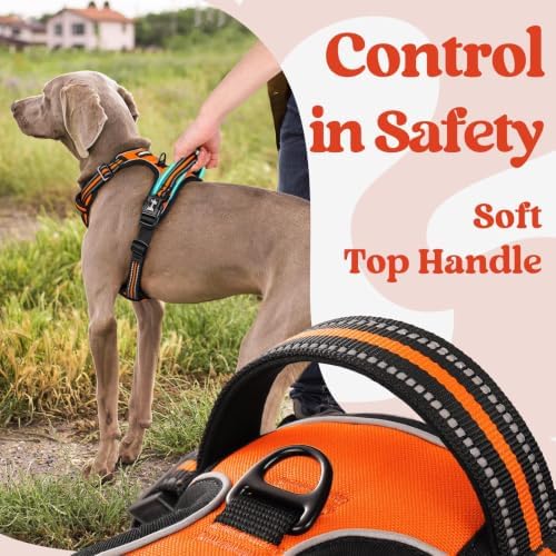 rabbitgoo Dog Harness for Large, Updated Easy On & Off - Image 4