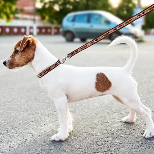 NFL PET Leash, Arizona Cardinals Dog Leash, Football Team Leash - Image 5