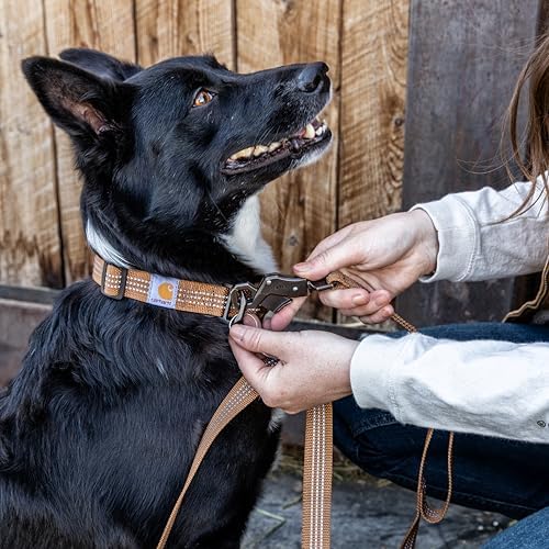 Carhartt Nylon Dual Handle Dog Leash Hunter Orange L - Image 5