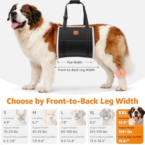 LOOBANI Dog Sling for Extra Large Dogs Hind Leg Support Weak Rear Leg Aid - Image 5
