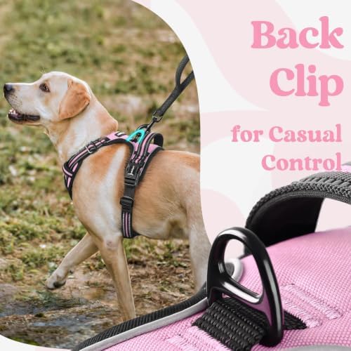 rabbitgoo Dog Harness Small Sized, Updated Easy On & Off - Image 6