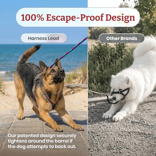 Harness Lead No Pull Dog Harness and Leash Set, Anti Pull Dog Harness - Image 5