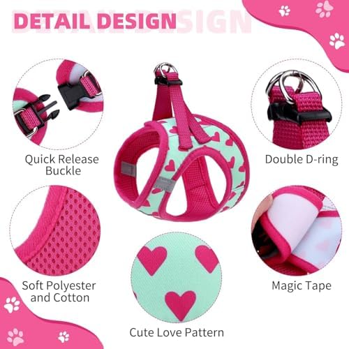 KOOLTAIL Valentines Dog Harness and Leash Set - Image 2