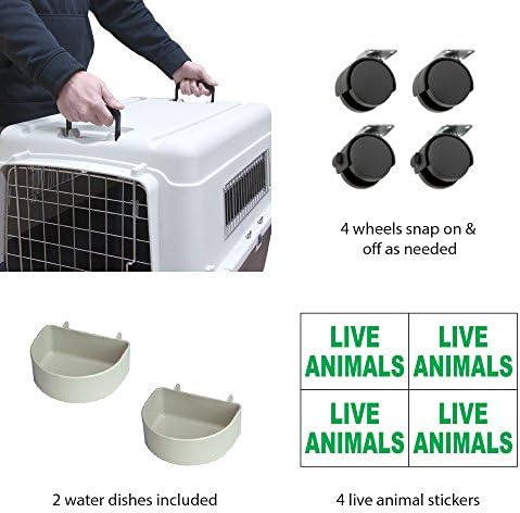SportPet Designs Plastic Kennels Rolling Plastic Wire Door Travel Dog Crate- - Image 4