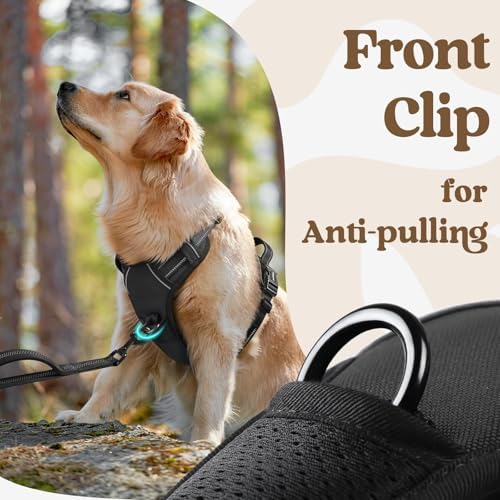 rabbitgoo Dog Harness for Large, Updated Easy On & Off - Image 6