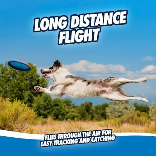 Chuckit! Paraflight Flying Disc Dog Toy, Size Large, 1 Pack - Image 6