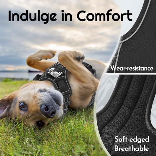 Eagloo Dog Harness No Pull for Small Dogs, Easy On & Off - Image 3