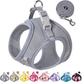 Dog Harness for Small Medium Sized Dog, Puppy Harness and Leash Set Training by Aecllcea