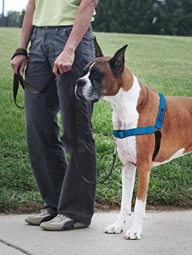 PetSafe Easy Walk Deluxe Dog Harness, No Pull Dog Harness – Perfect - Image 2