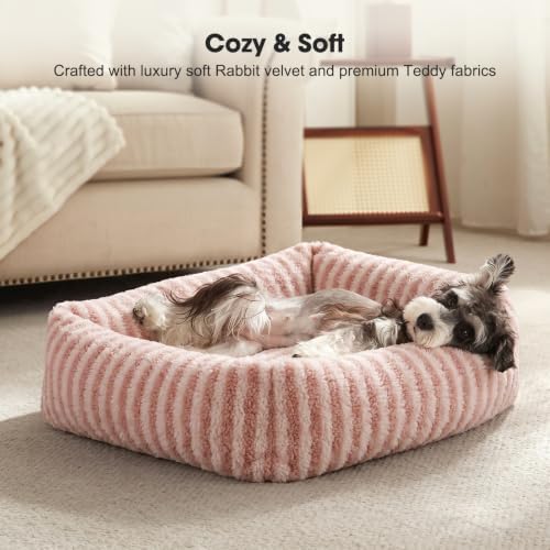 MIXJOY Dog Bed for Medium Small Size Dog, Washable Medium Dogs Bed - Image 3