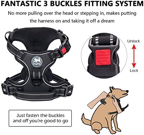 PoyPet No Pull Dog Harness Medium - Image 2