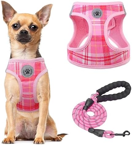 BEAUTYZOO Small Dog Harness and Leash Set, Step in No Choke No Pull Soft Mesh by BEAUTYZOO