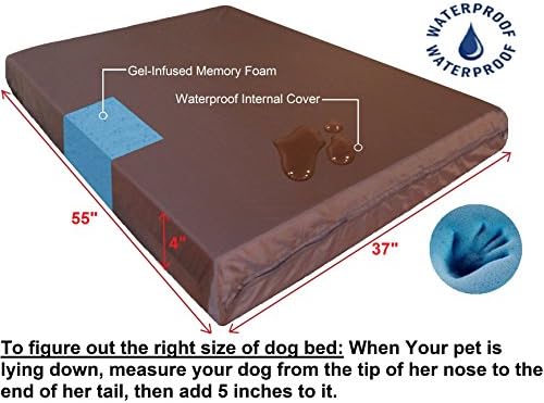Dogbed4less Premium Orthopedic Memory Foam Dog Bed - Image 4