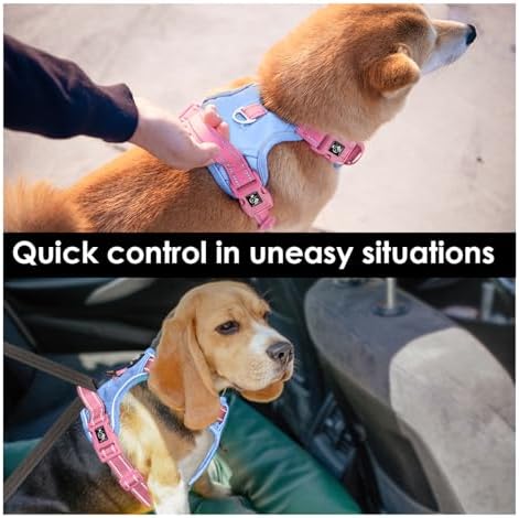 PHOEPET No Pull Dog Harness, Unique Colors Reflective Adjustable Dog Vest - Image 5
