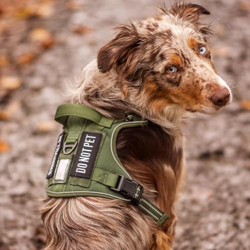 rabbitgoo Tactical Dog Harness for Large Dogs, No Pull Service Pet Vest - Image 2