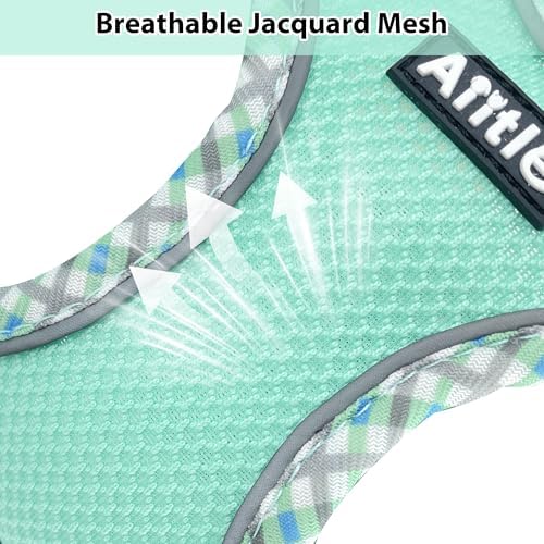AIITLE Medium Dog Harness and Leash Set - Image 2
