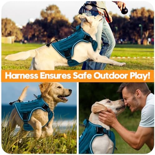 Heavy-Duty Tactical Dog Harness - Image 6
