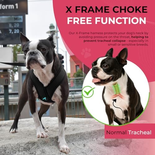 Gooby Comfort X Head-in Dog Harness, Choke-Free - Image 6