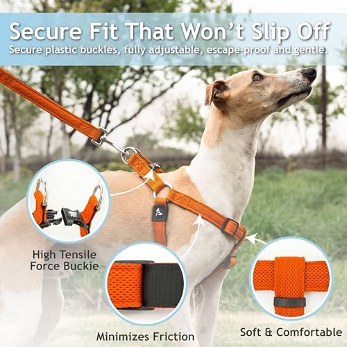 Kruz No Pull Dog Harness Heavy-Duty Pet Harness - Image 2