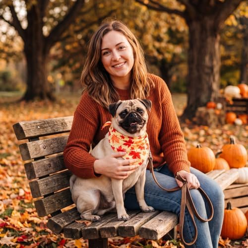 Preboun 100 Pcs Fall Thanksgiving Dog Bandanas Bulk, Pumpkin & Maple Leaves - Image 6