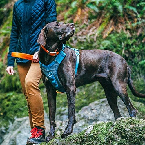 Kurgo Journey Air Dog Harness, Extra Large - Image 2